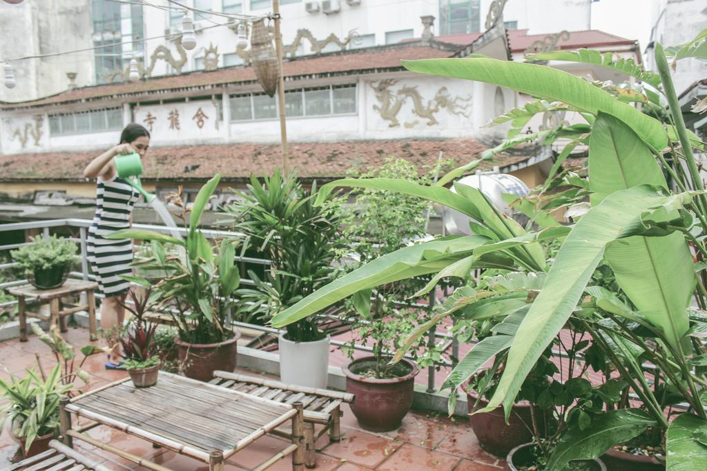 Ham Long Hidden Gem Villa Hanoi Kültér fotó